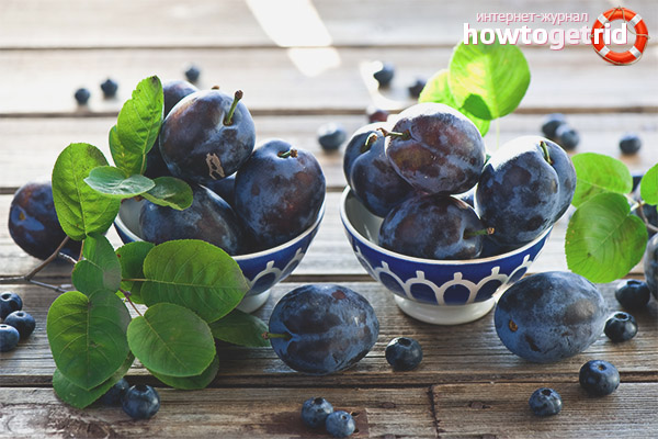 Rules for the selection and storage of plums