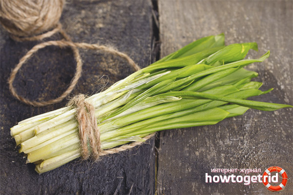 The use of wild garlic for medicinal purposes