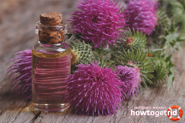 Milk Thistle Recipes