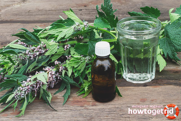 Motherwort Recipes