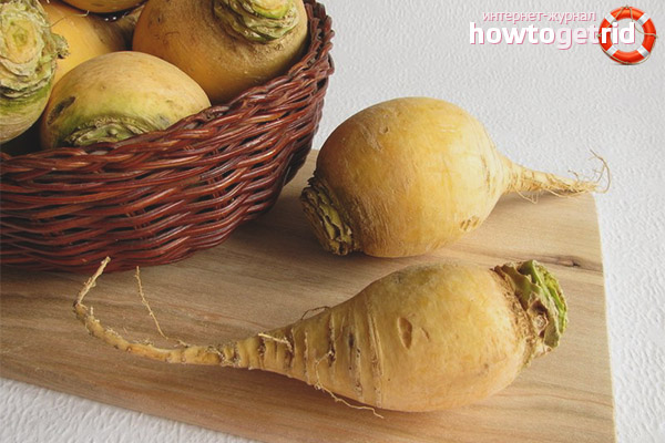 Navet pour perdre du poids