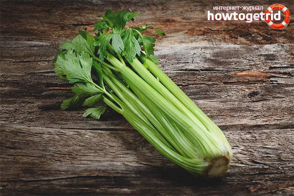 Celery during pregnancy
