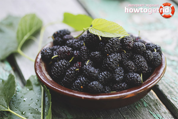 Mulberry for the digestive tract