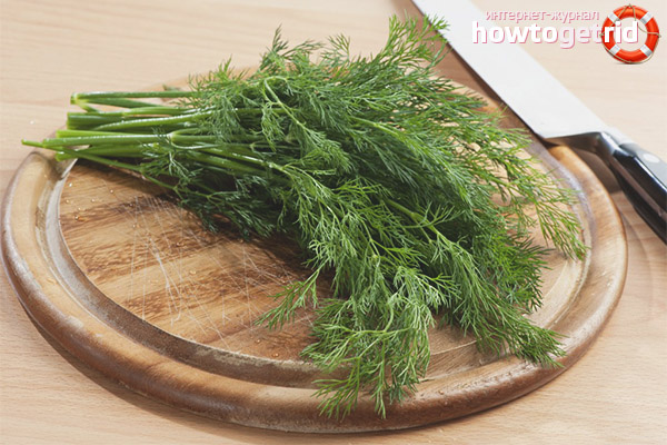 Dill during pregnancy