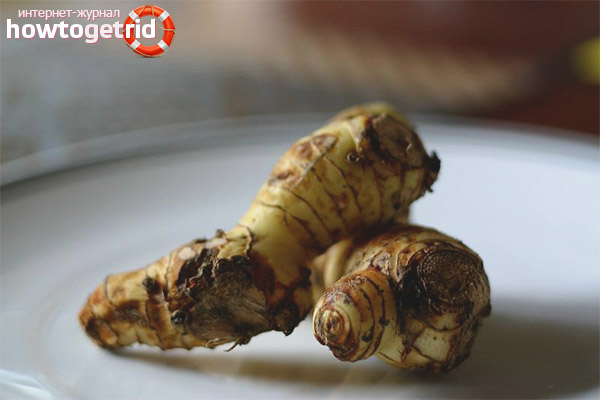 In what cases is the root of galangal used
