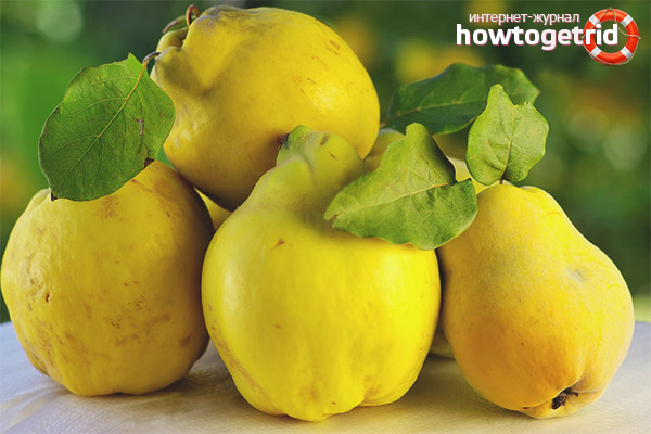 Harmful quince during pregnancy
