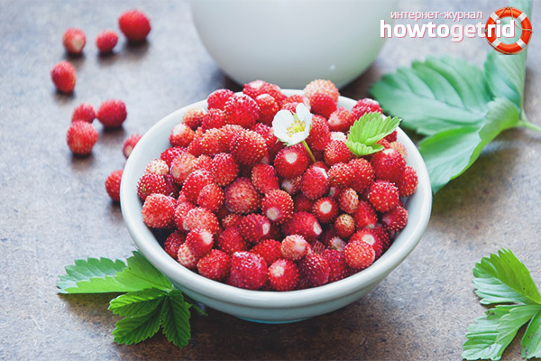 Strawberries in folk medicine