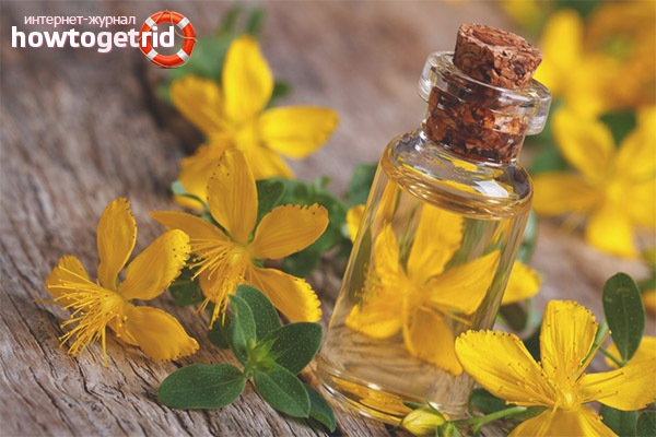 St. John's wort in dermatology and cosmetology