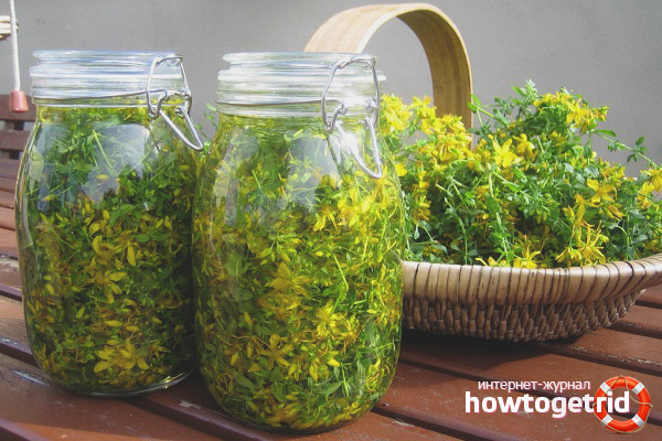 St. John's wort in folk medicine