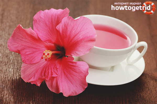 Hibiscus tea during pregnancy
