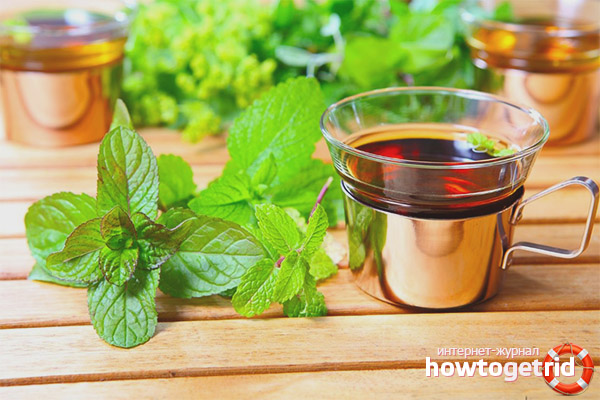 Tea with lemon balm during pregnancy