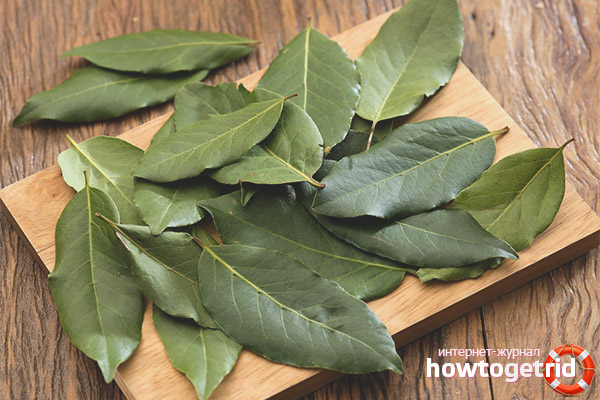 How to use bay leaf for weight loss