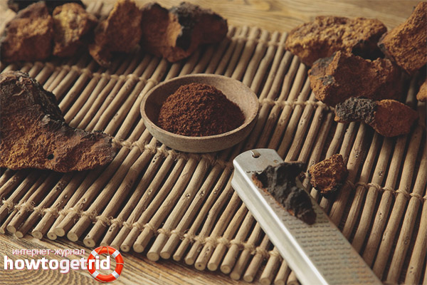 How to make Chaga medicine