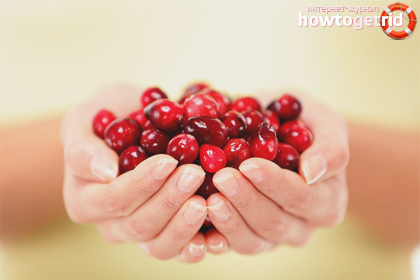 Cranberries during pregnancy