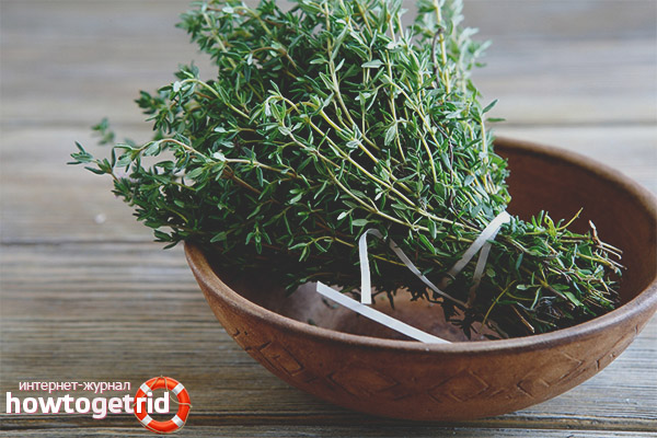 Therapeutic properties and contraindications thyme