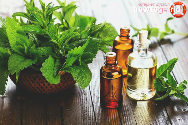 Peppermint in medicine