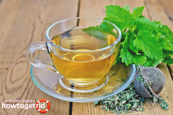 Features of drinking tea with lemon balm