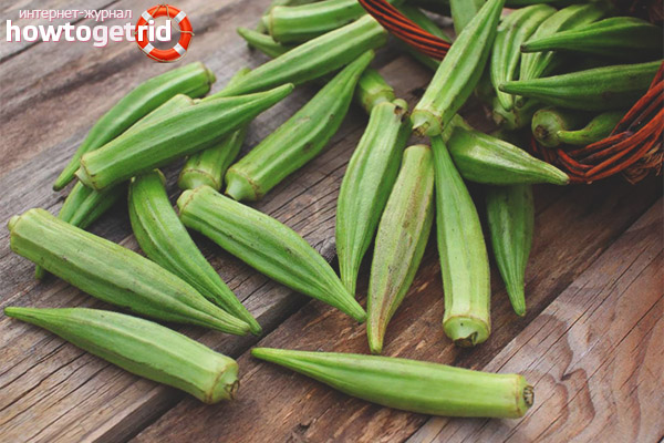 Useful properties and contraindications of okra