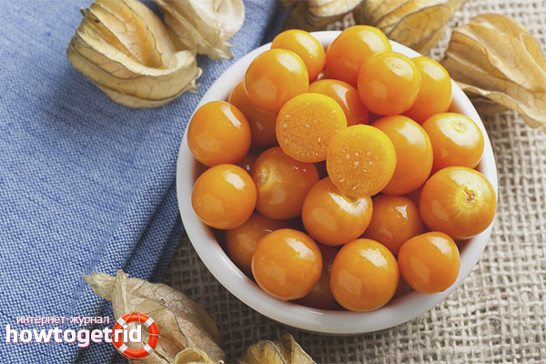 Useful properties and contraindications of physalis