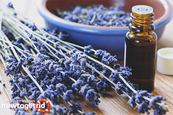 What ailments help lavender