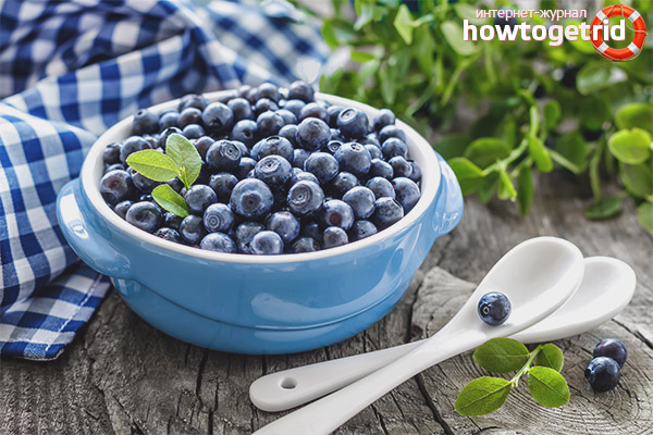 The use of blueberries during pregnancy