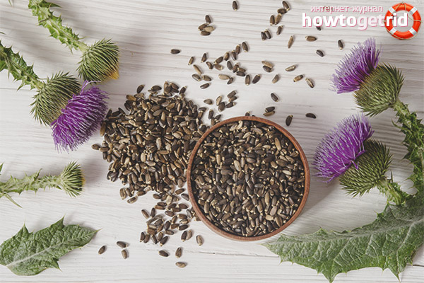 How to take milk thistle