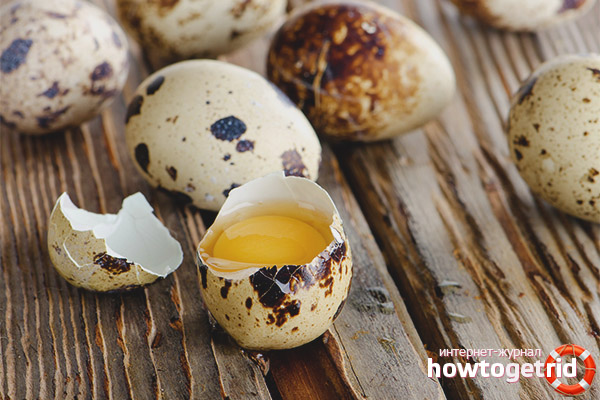 How to use a quail shell