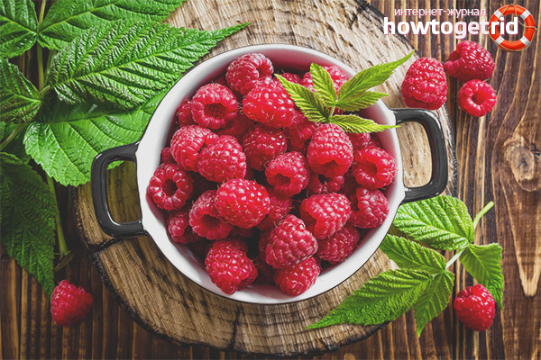 How to introduce raspberries into the diet of a nursing mother