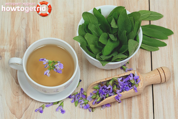 How to brew sage for gargling