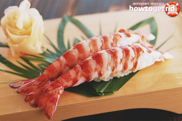 Breastfeeding shrimp