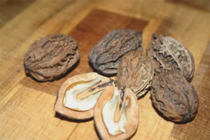 Medicinal properties and application of Manchurian walnut