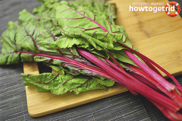 Chard in folk medicine