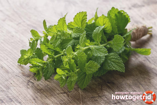 Mint for breastfeeding