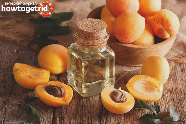 Folk recipes with apricot oil