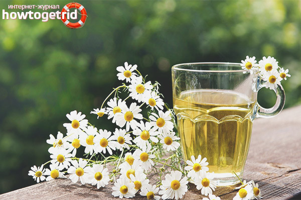 External use of chamomile broth