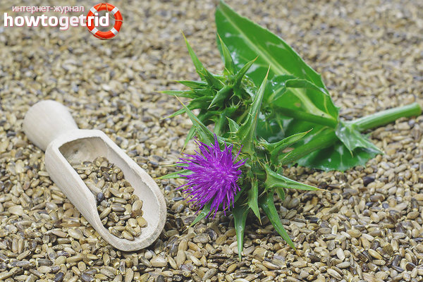 Limitations on the use of milk thistle