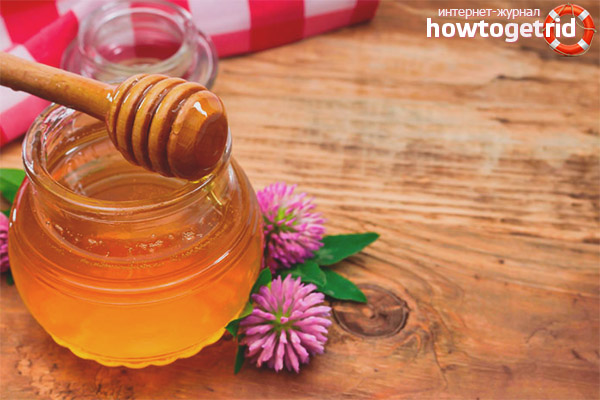 Useful properties and contraindications for clover honey