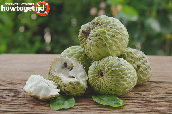 Useful properties and contraindications of cream apple