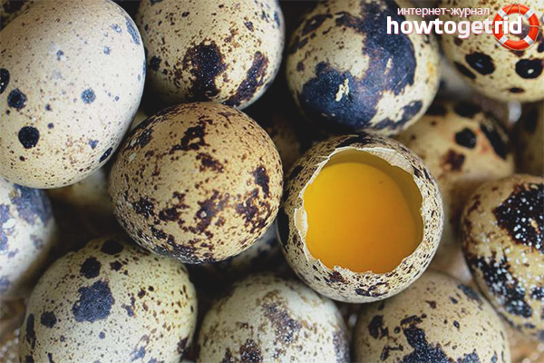 The benefits and harms of quail eggshell