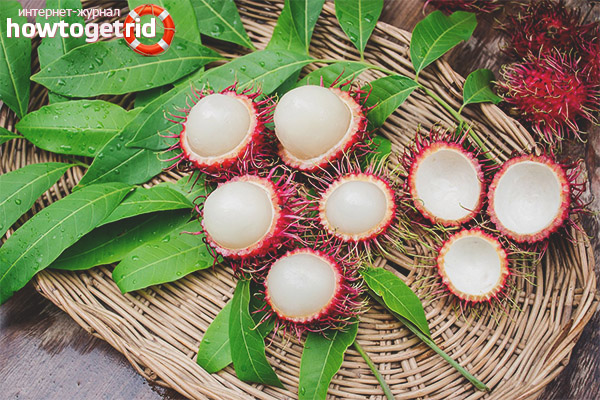 Rambutan in traditional medicine