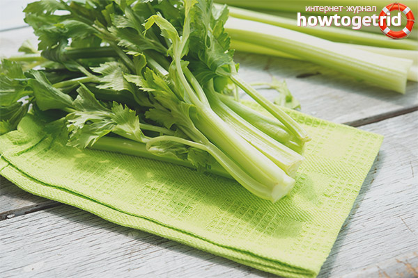 Celery Salads for Weight Loss
