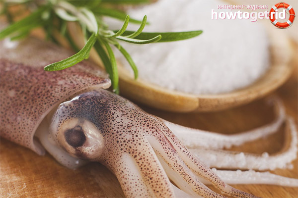How to cook squid