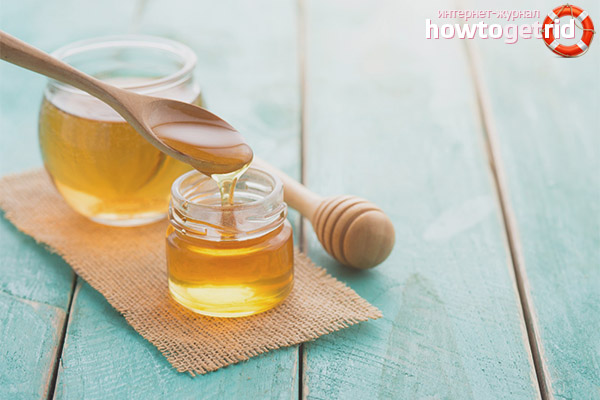 Effective cold honey recipes