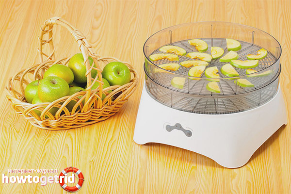 Comment choisir un séchoir pour fruits et légumes