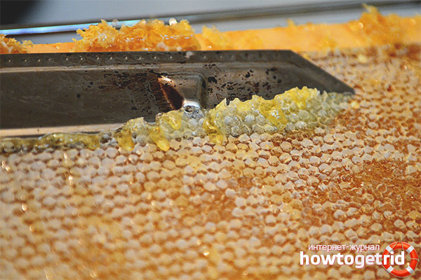 The healing properties of the honey seal