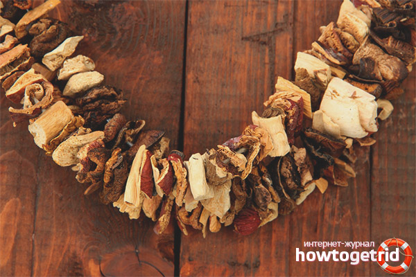 Methoden zum Trocknen von Pilzen