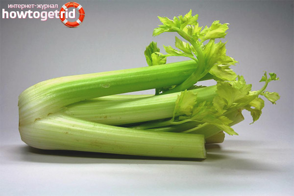 Can pregnant women eat celery