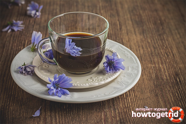 Can I drink chicory during pregnancy?