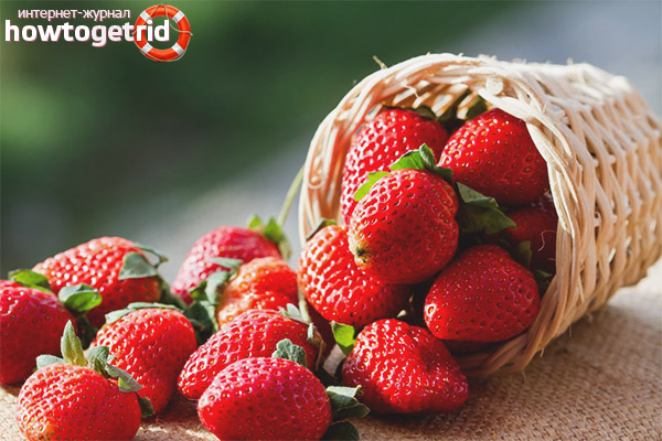 What is the harm of strawberries during pregnancy