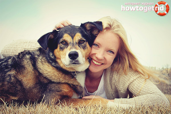 How to understand that a dog loves you